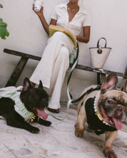 Wander! Bow Harness 2.0 - Matcha - FURRY MUSE WAN-HAR3-XS-GR