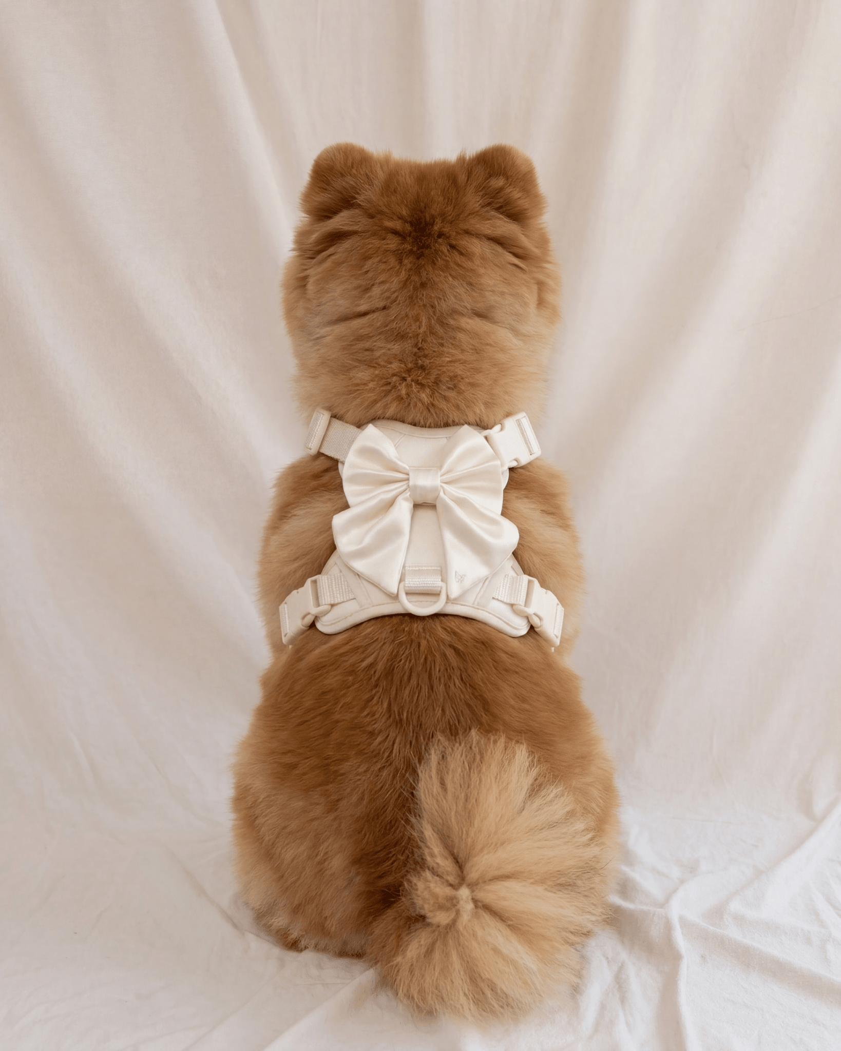 Wander! Bow Harness 2.0 - Pearl - FURRY MUSE WAN-HAR3-XS-WH