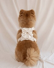 Wander! Bow Harness 2.0 - Pearl - FURRY MUSE WAN-HAR3-XS-WH