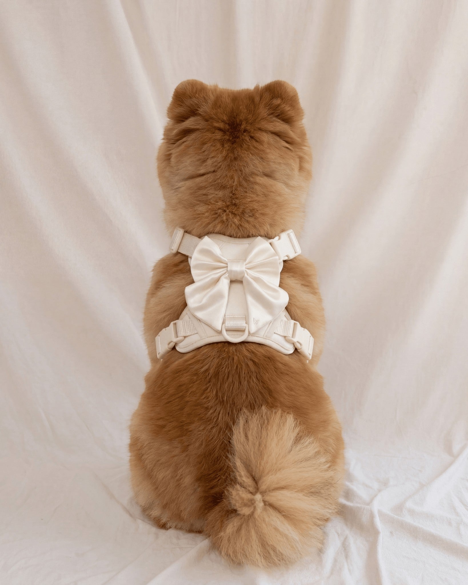 Wander! Bow Harness 2.0 - Pearl - FURRY MUSE WAN-HAR3-XS-WH