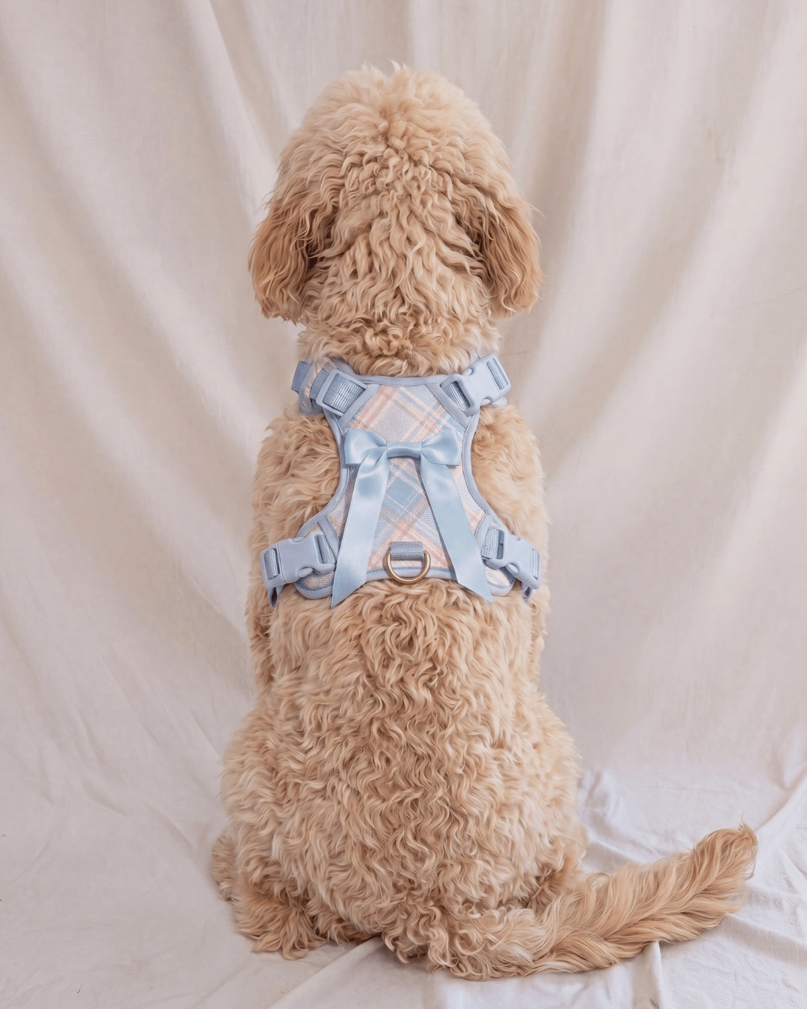 Wander! Bow Harness 2.0 - Seaside Plaid - FURRY MUSE WAN-HAR3-XS-LBPD