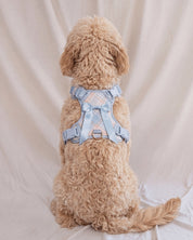 Wander! Bow Harness 2.0 - Seaside Plaid - FURRY MUSE WAN-HAR3-XS-LBPD