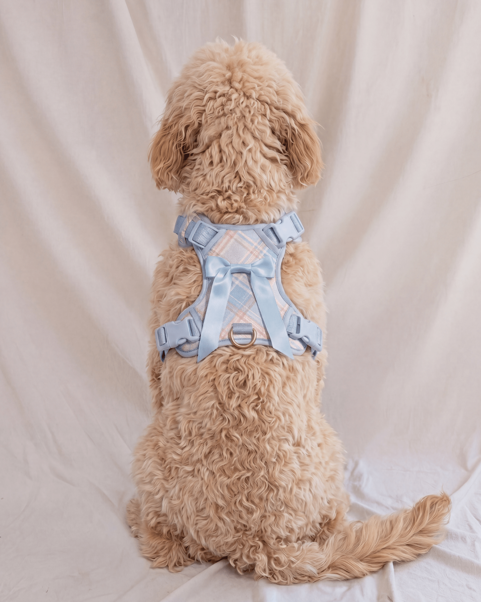 Wander! Bow Harness 2.0 - Seaside Plaid - FURRY MUSE WAN-HAR3-XS-LBPD