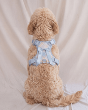 Wander! Bow Harness 2.0 - Seaside Plaid - FURRY MUSE WAN-HAR3-XS-LBPD