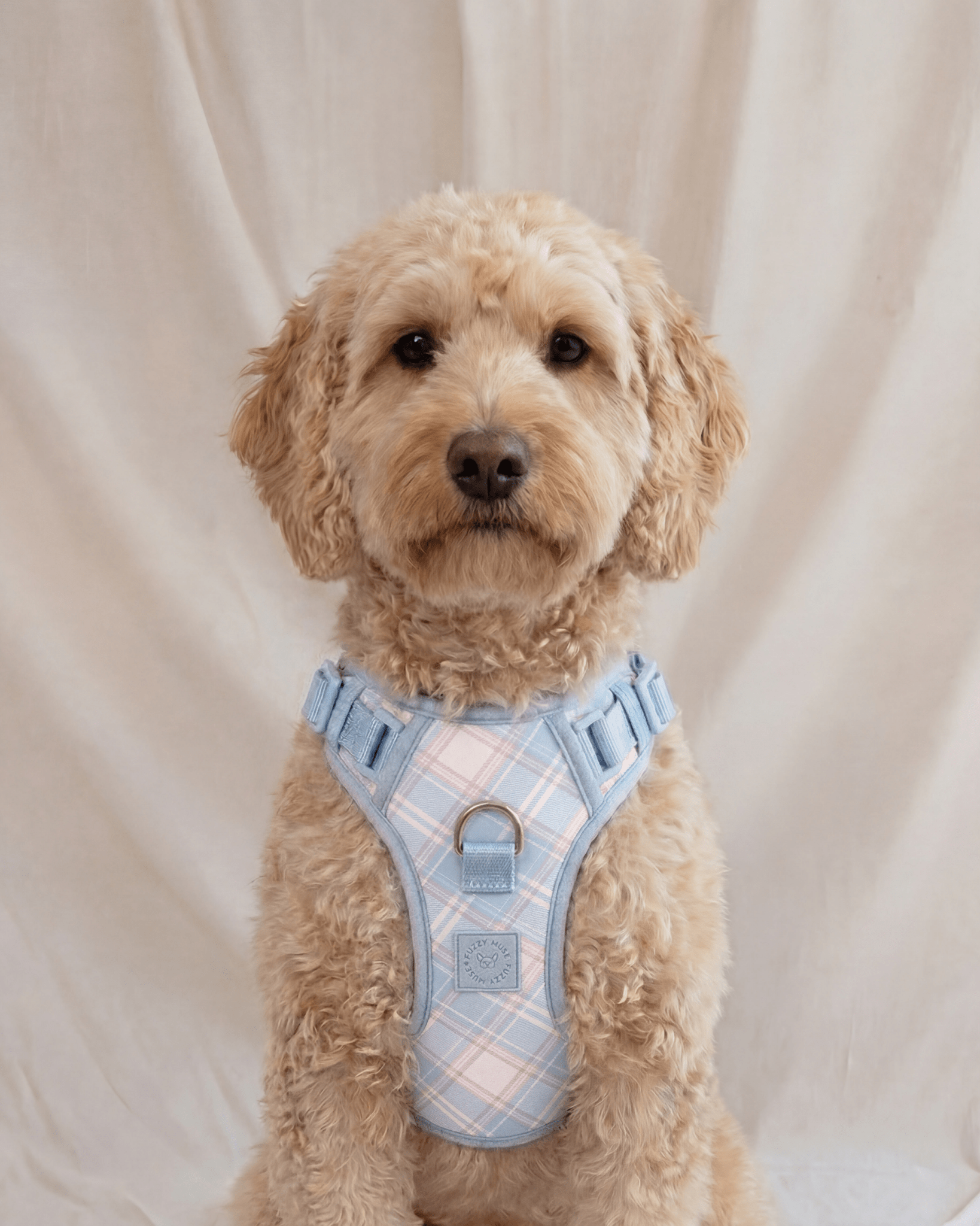Wander! Bow Harness 2.0 - Seaside Plaid - FURRY MUSE WAN-HAR3-XS-LBPD
