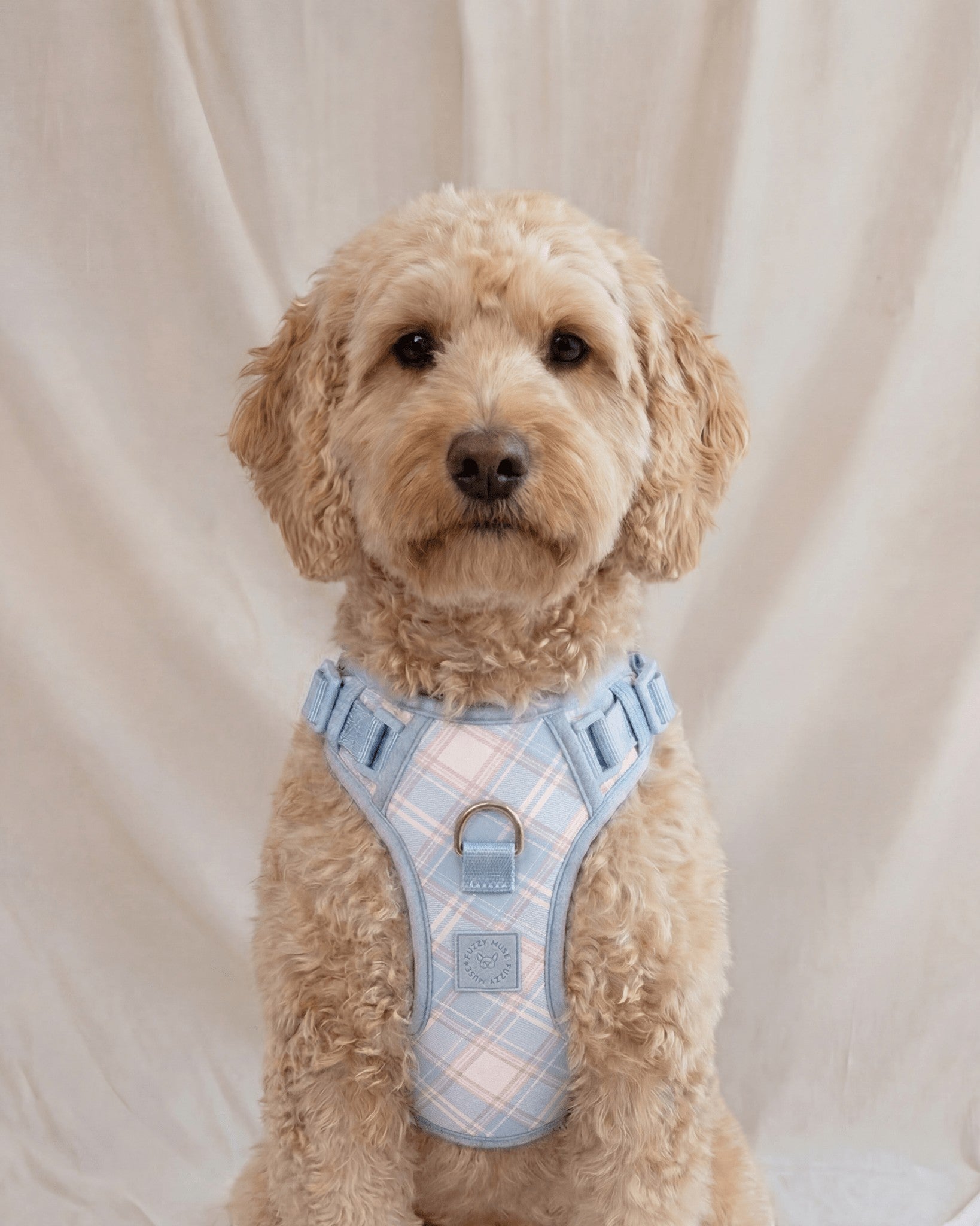 Wander! Bow Harness 2.0 - Seaside Plaid - FURRY MUSE WAN-HAR3-XS-LBPD