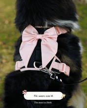 Wander! Bow Harness Ballerina - FURRY MUSE WAN-HAR2-XS-BK
