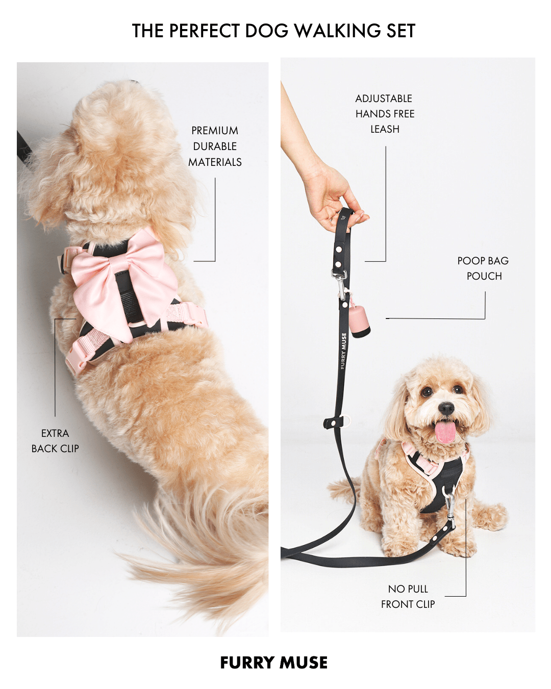 Wander! Bow Harness Blossom - FURRY MUSE WAN - HAR2 - XS - BK