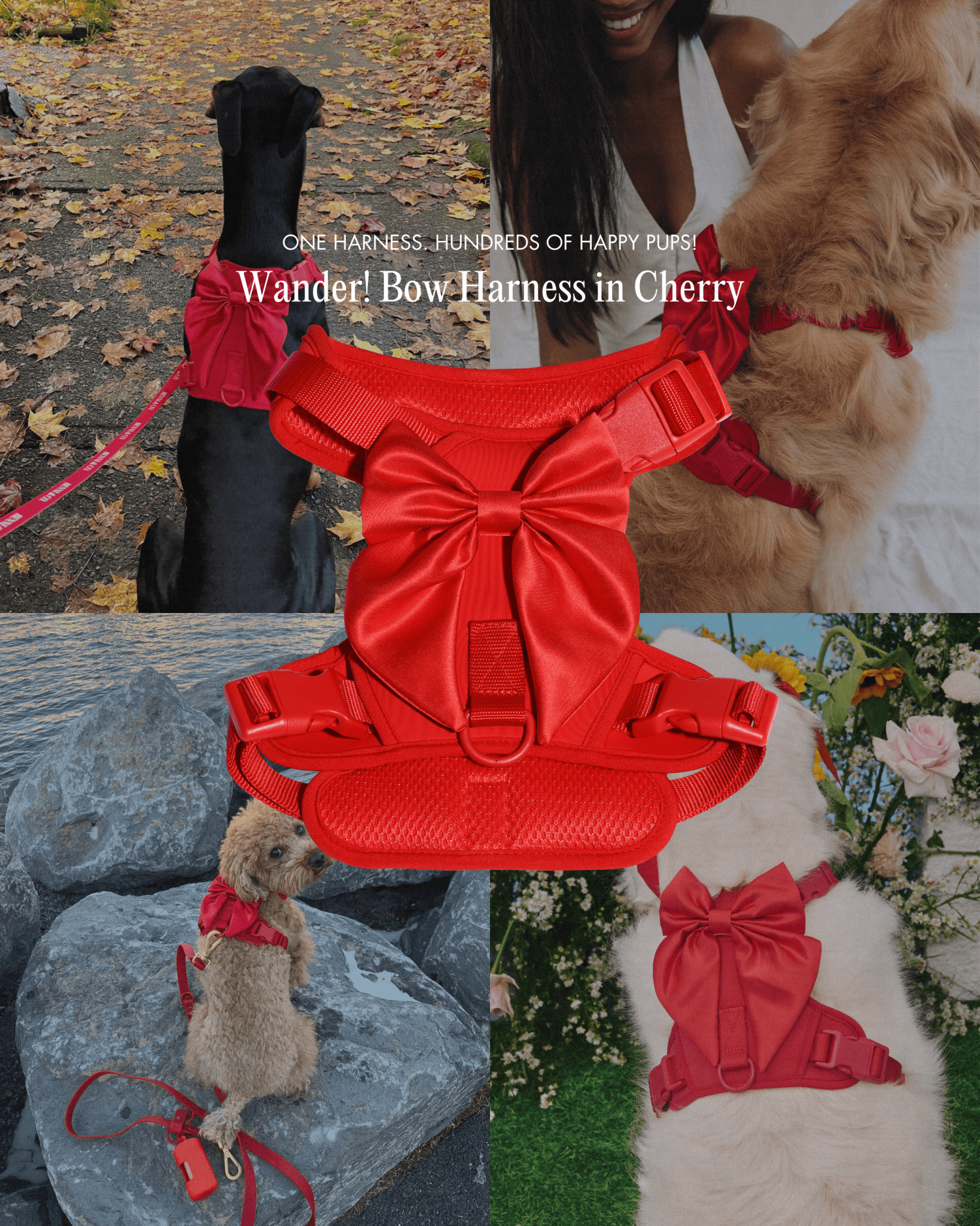 Wander! Bow Harness Cherry - FURRY MUSE WAN-HAR2-XS-RD