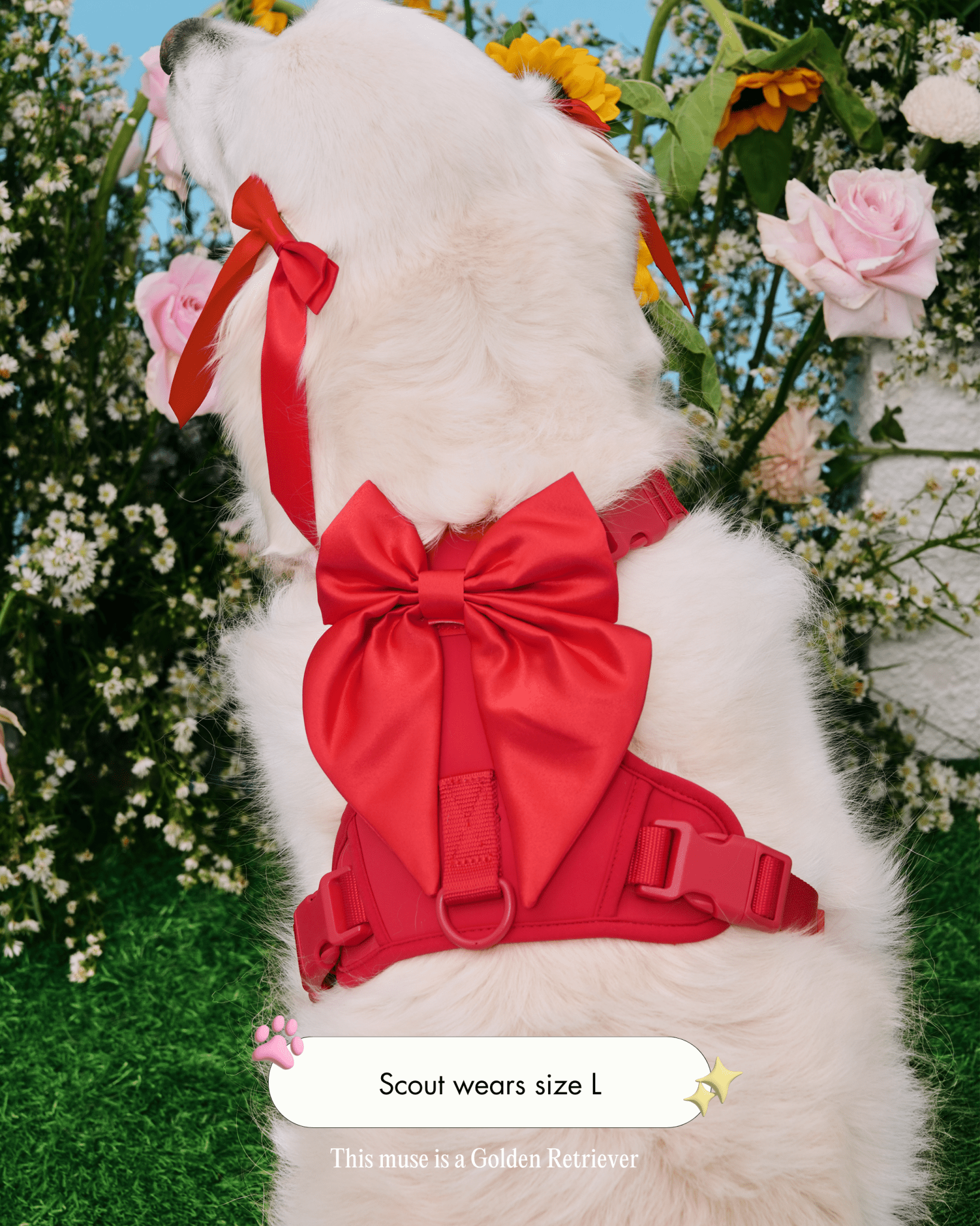 Wander! Bow Harness Cherry - FURRY MUSE WAN-HAR2-XS-RD