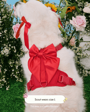 Wander! Bow Harness Cherry - FURRY MUSE WAN-HAR2-XS-RD