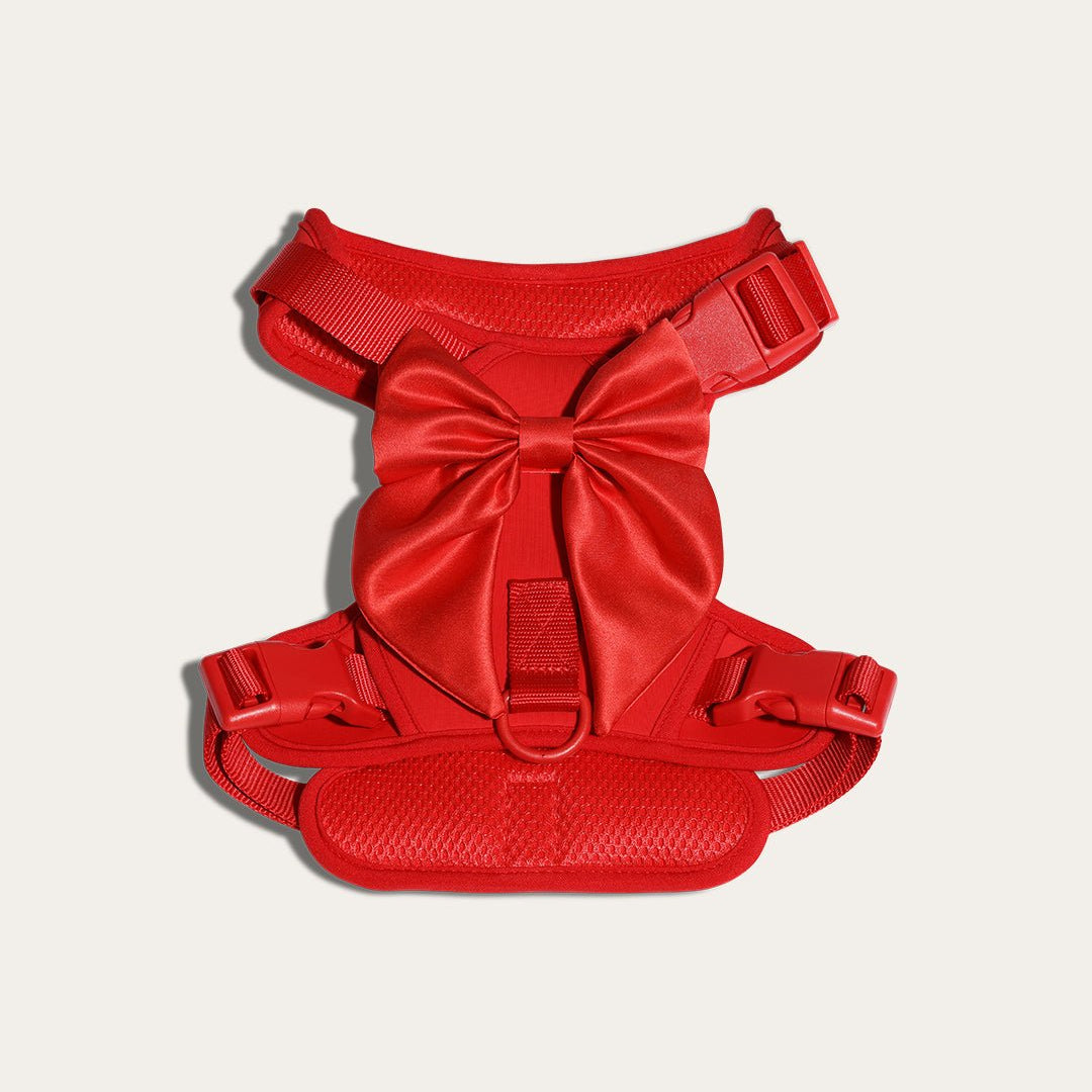 Wander! Bow Harness Cherry - FURRY MUSE WAN - HAR2 - XS - RD