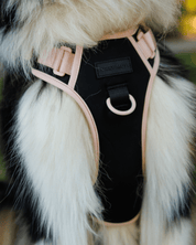 Wander! Bow Harness Kit Ballerina - FURRY MUSE WAN - BOW - HKIT - XS - BK