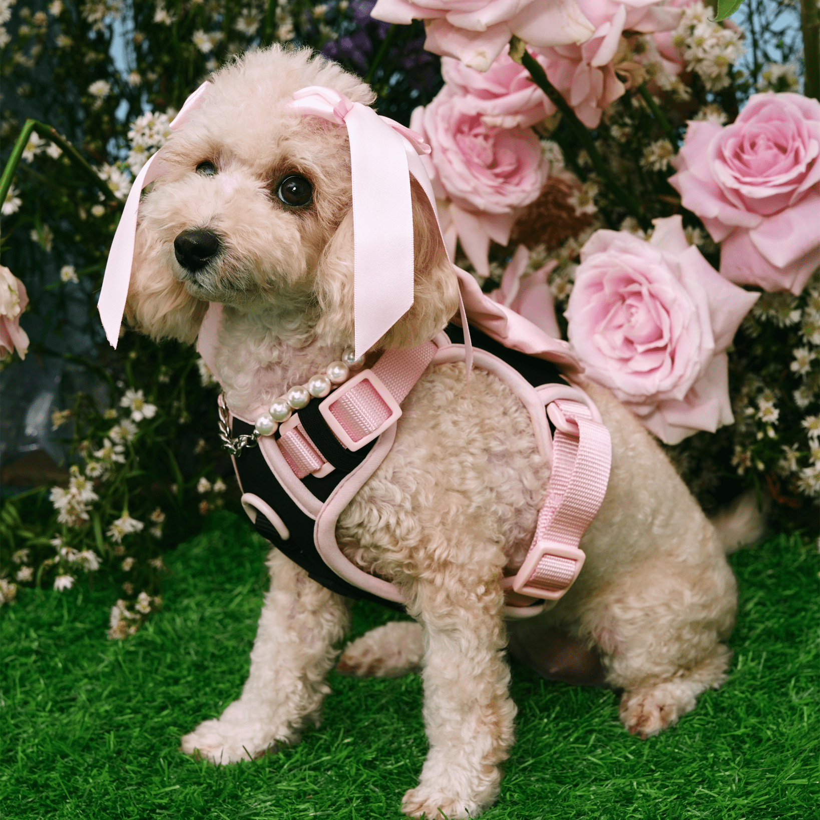 Wander! Bow Harness Kit Ballerina - FURRY MUSE WAN - BOW - HKIT - XS - BK