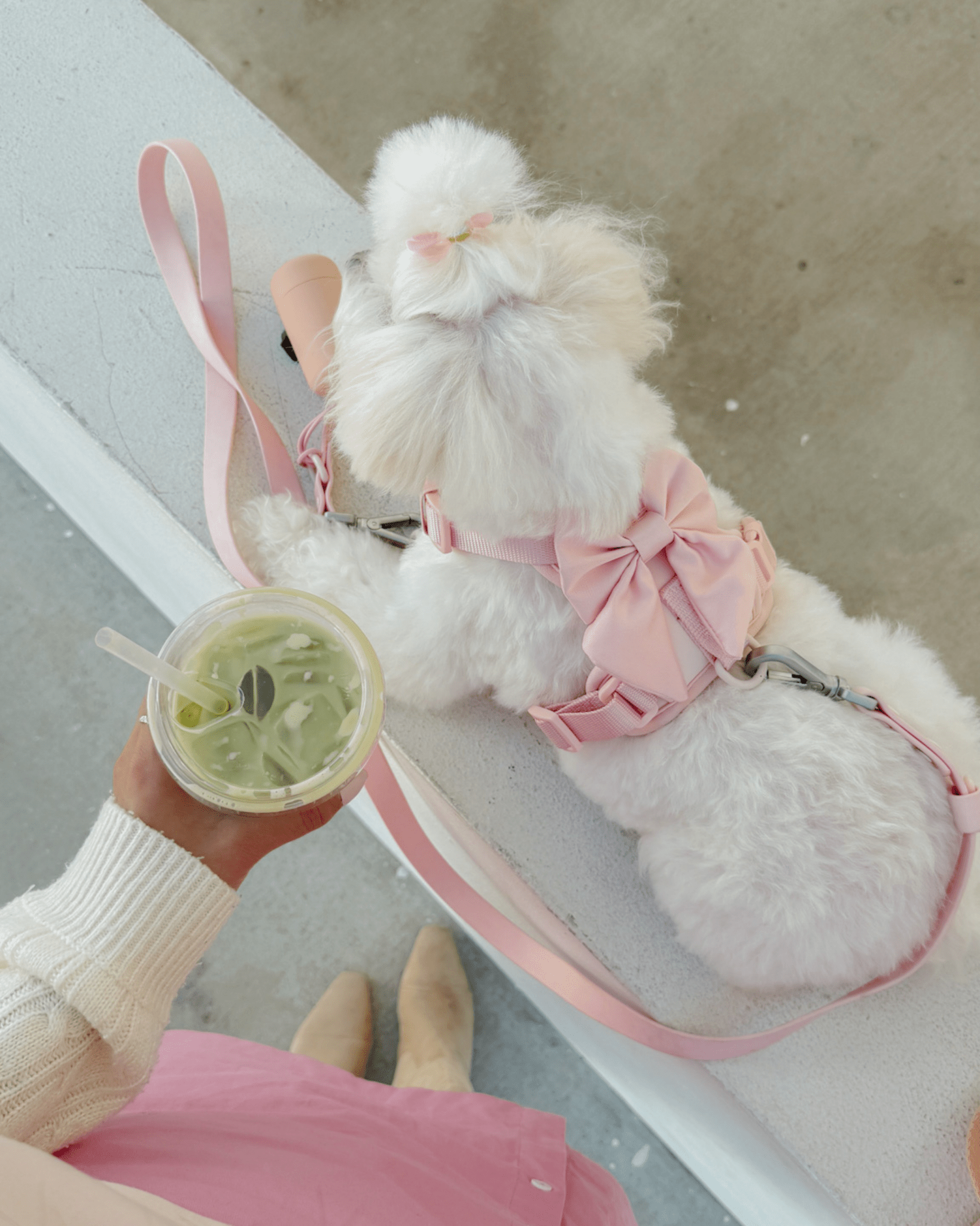 Wander! Bow Harness Kit Blossom - FURRY MUSE WAN - BOW - HKIT - XS - PN