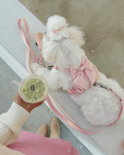 Wander! Bow Harness Kit Blossom - FURRY MUSE WAN - BOW - HKIT - XS - PN