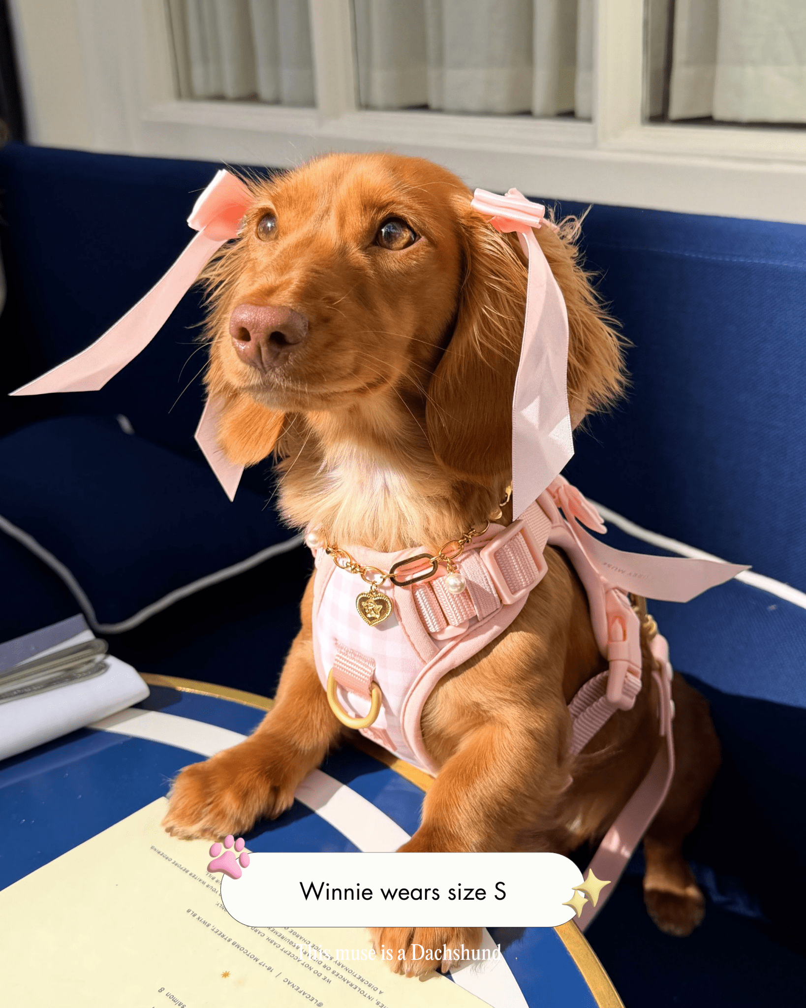 Wander! Bow Harness Kit Blossom Gingham - FURRY MUSE WAN-BOW-HKIT-XS-6FT-PNP