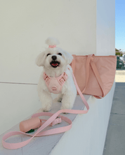 Wander! Bow Harness Kit Blossom - Gold - FURRY MUSE WAN-BOW-HKIT-XXS-GO-PN-6FT