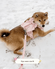 Wander! Bow Harness Kit Blossom - Silver - FURRY MUSE WAN-BOW-HKIT-XXS-SI-PN-6FT