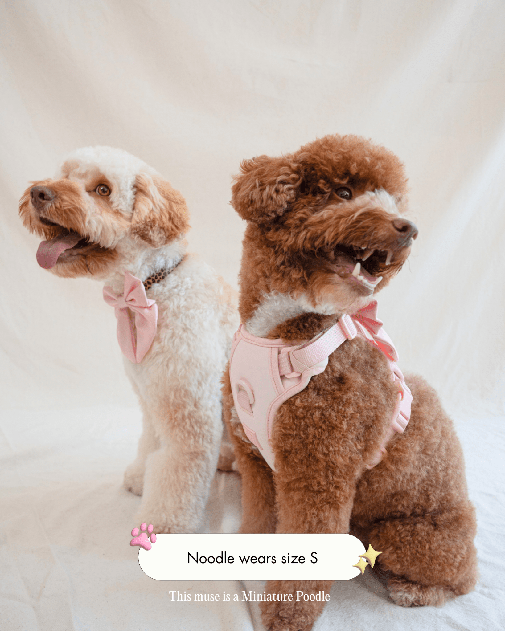 Wander! Bow Harness Kit Blossom - Silver - FURRY MUSE WAN-BOW-HKIT-XXS-SI-PN-6FT