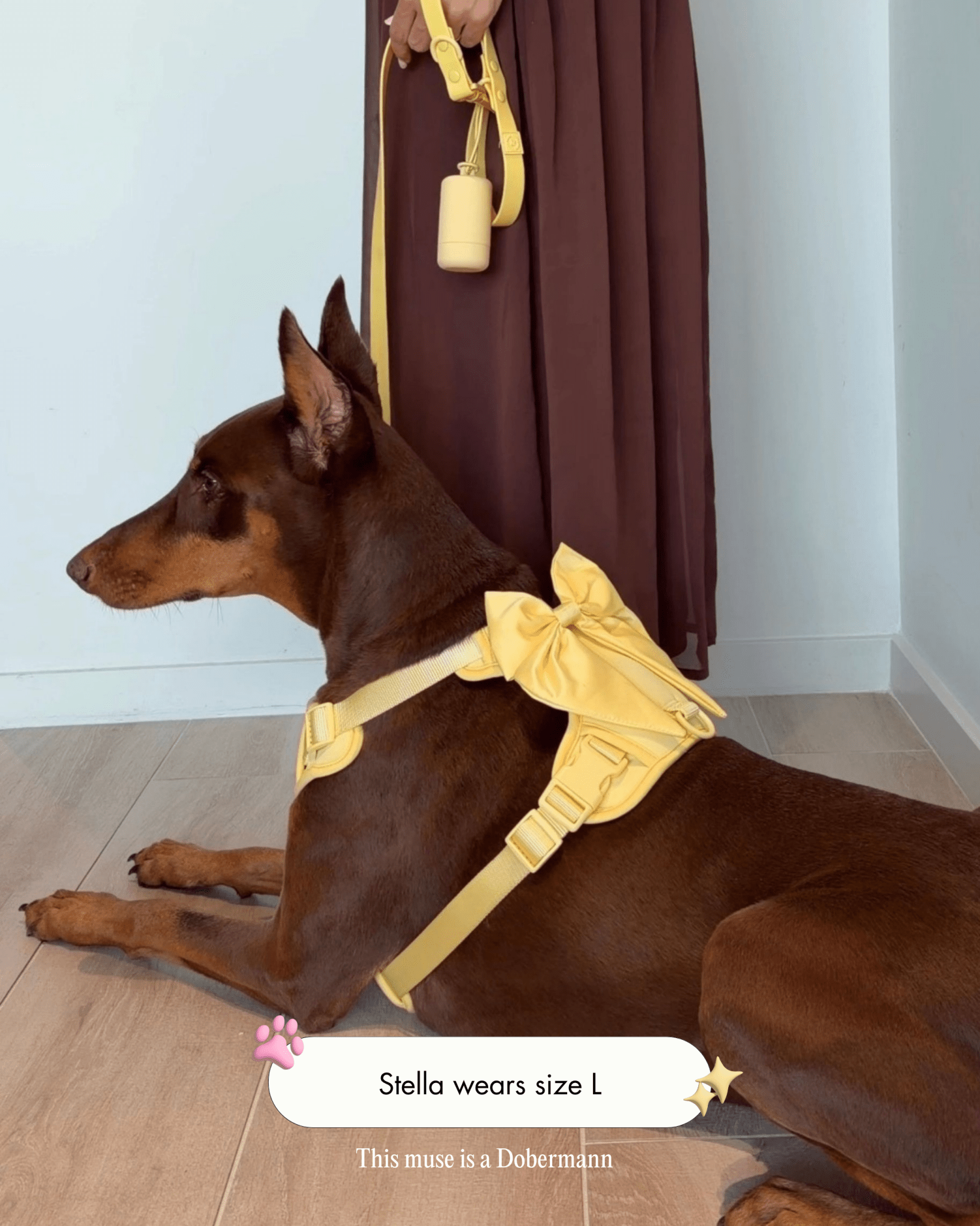 Wander! Bow Harness Kit Buttercream - FURRY MUSE WAN-BOW-HKIT-XS-6FT-YL
