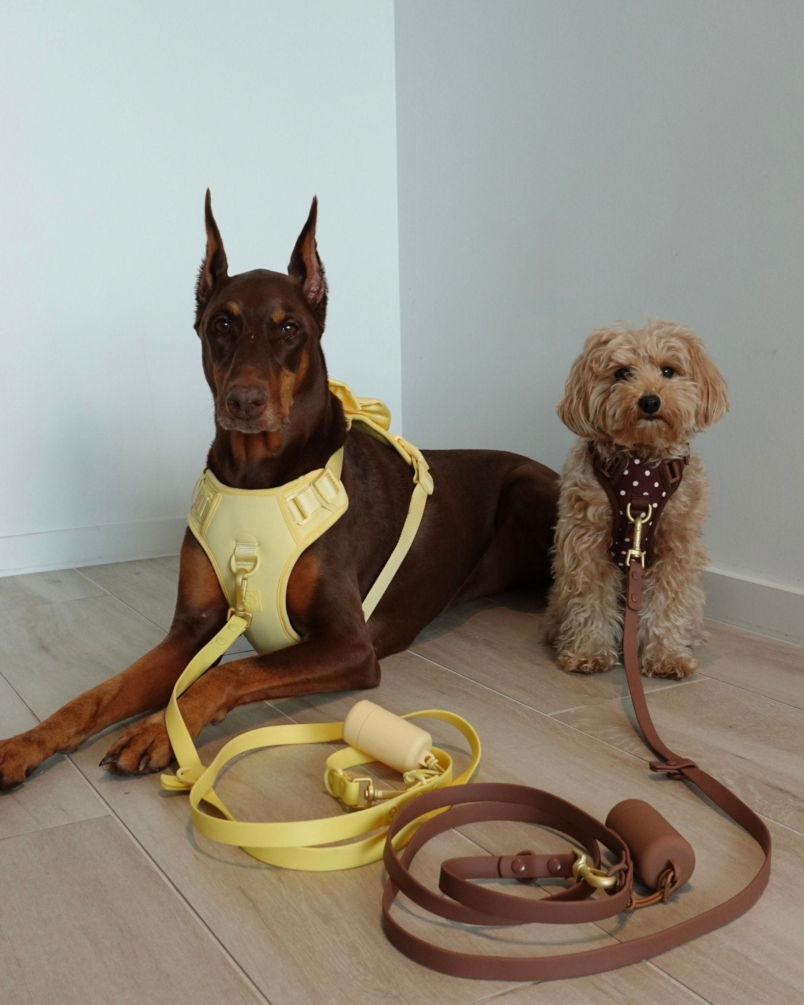 Wander! Bow Harness Kit Buttercream - FURRY MUSE WAN-BOW-HKIT-XS-6FT-YL