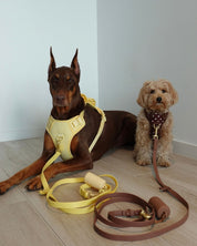 Wander! Bow Harness Kit Buttercream - FURRY MUSE WAN-BOW-HKIT-XS-6FT-YL