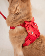 Wander! Bow Harness Kit Cherry - FURRY MUSE WAN - BOW - HKIT - XS - RD