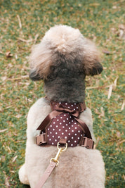 Wander! Bow Harness Kit Cocoa Polka Dot - FURRY MUSE WAN-BOW-HKIT-XS-6FT-BRP