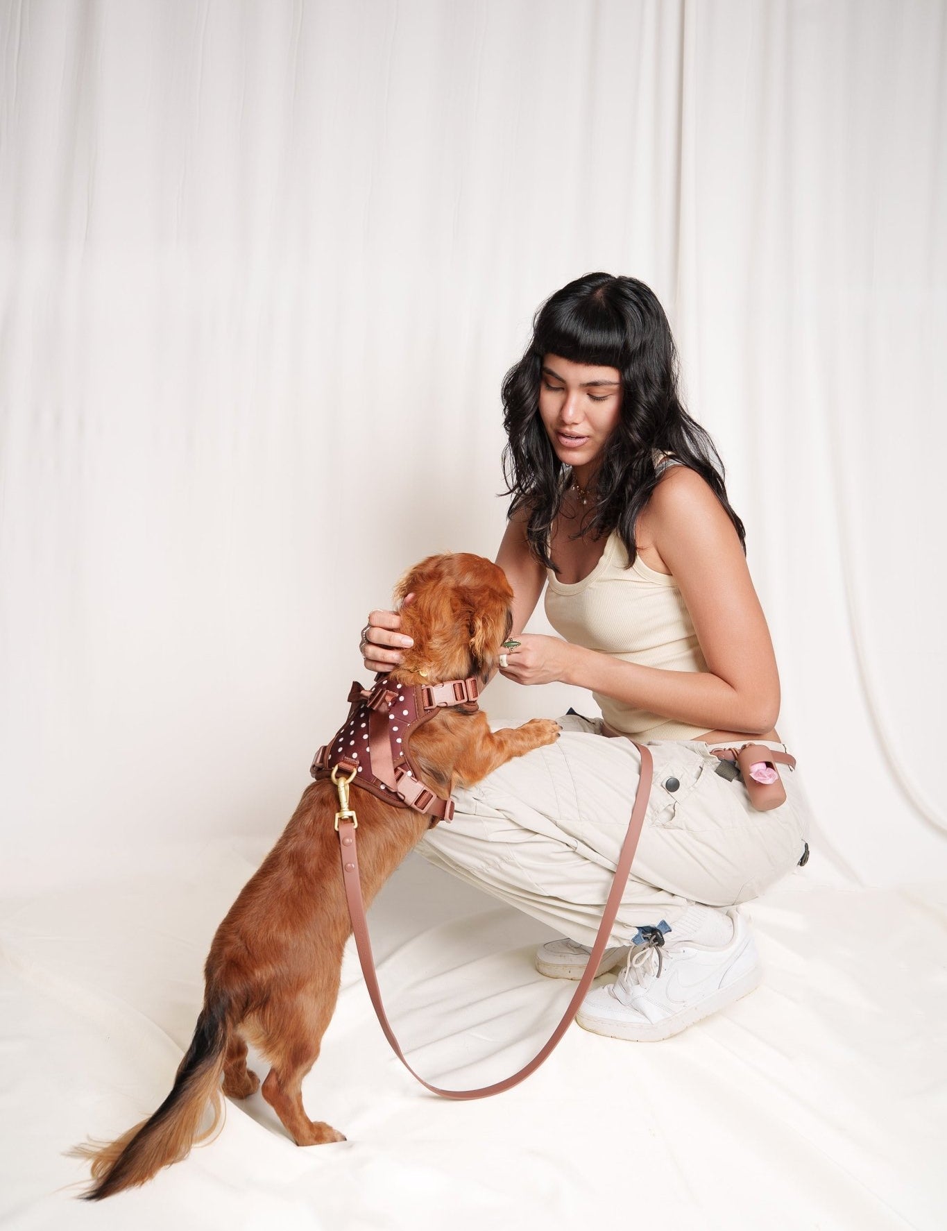 Wander! Bow Harness Kit Cocoa Polka Dot - FURRY MUSE WAN-BOW-HKIT-XS-6FT-BRP