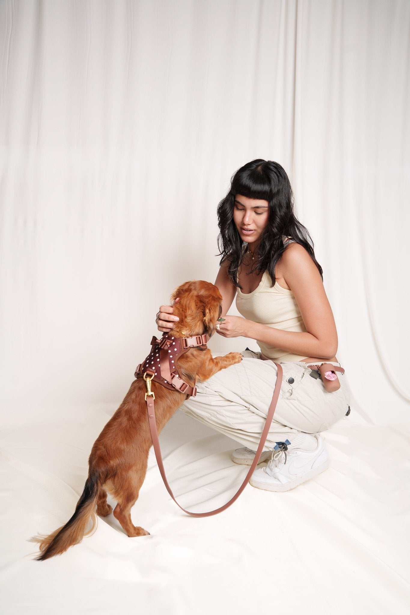 Wander! Bow Harness Kit Cocoa Polka Dot - FURRY MUSE WAN-BOW-HKIT-XS-6FT-BRP