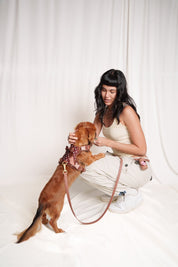 Wander! Bow Harness Kit Cocoa Polka Dot - FURRY MUSE WAN-BOW-HKIT-XS-6FT-BRP