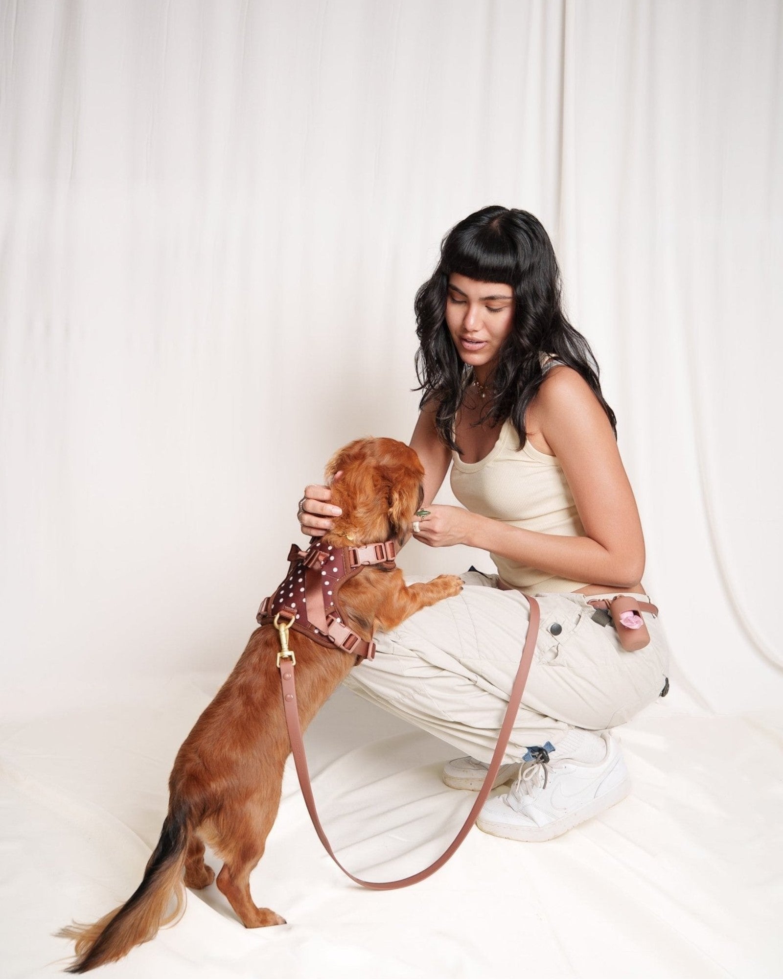 Wander! Bow Harness Kit Cocoa Polka Dot - FURRY MUSE WAN-BOW-HKIT-XS-6FT-BRP