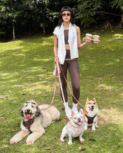 Wander! Bow Harness Kit Cocoa Polka Dot - FURRY MUSE WAN-BOW-HKIT-XS-6FT-BRP