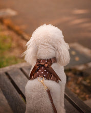Wander! Bow Harness Kit Cocoa Polka Dot - FURRY MUSE WAN-BOW-HKIT-XS-6FT-BRP