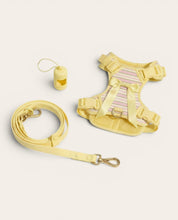 Wander! Bow Harness Kit Lemonade Stripe - FURRY MUSE WAN-HKIT-XS-YPN-6FT-GO