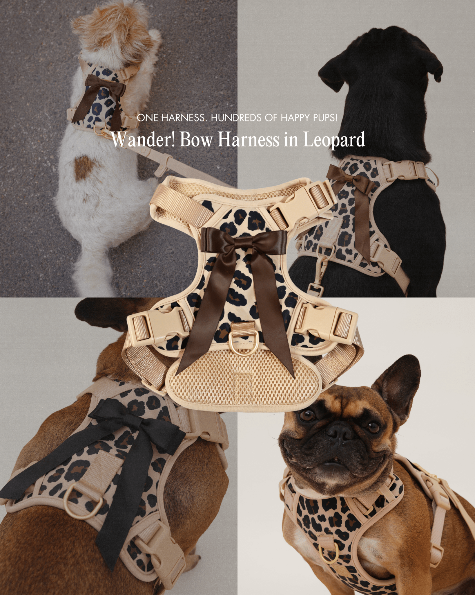Wander! Bow Harness Kit Leopard - FURRY MUSE WAN-BOW-HKIT-XS-LEO