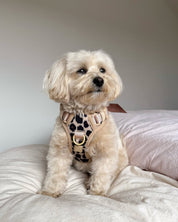 Wander! Bow Harness Kit Leopard - FURRY MUSE WAN - BOW - HKIT - XS - LEO