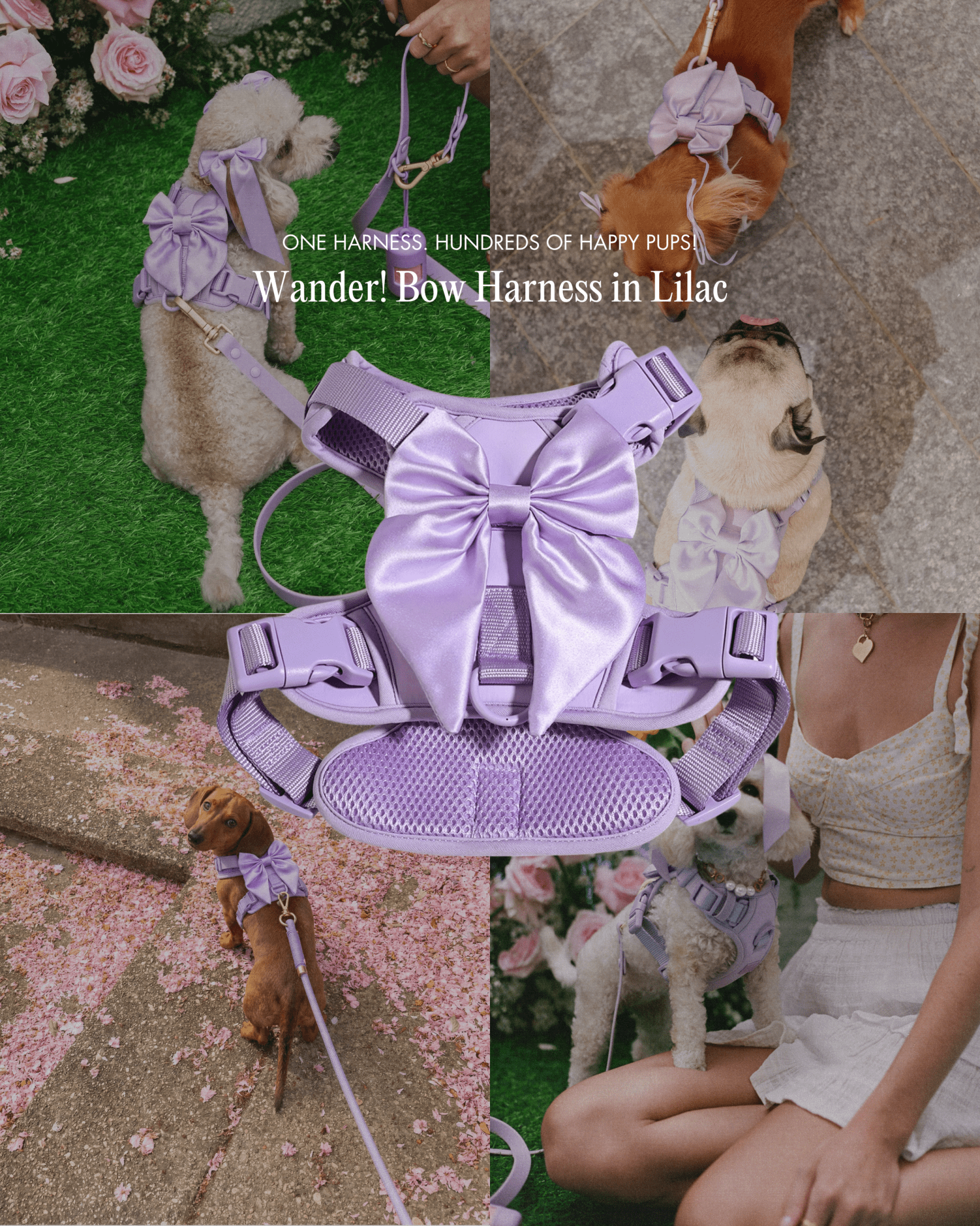 Wander! Bow Harness Kit Lilac - Silver - FURRY MUSE WAN-HKIT-XS-LI-SI