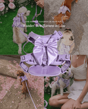 Wander! Bow Harness Kit Lilac - Silver - FURRY MUSE WAN-HKIT-XS-LI-SI
