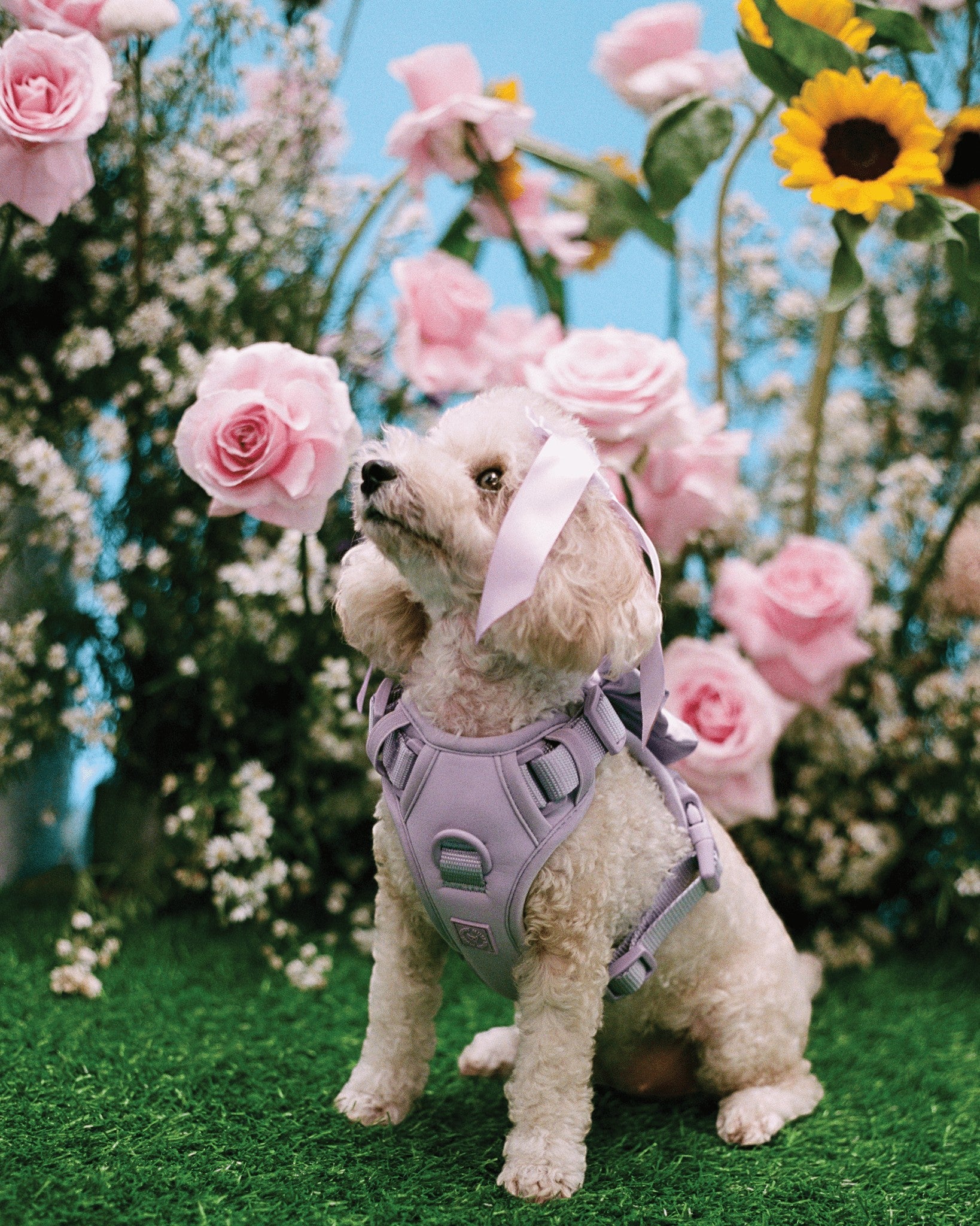 Wander! Bow Harness Kit Lilac - Silver - FURRY MUSE WAN-HKIT-XS-LI-SI