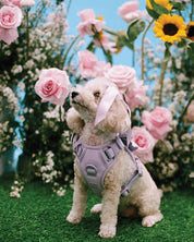Wander! Bow Harness Kit Lilac - Silver - FURRY MUSE WAN-HKIT-XS-LI-SI