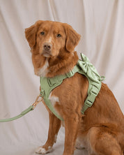 Wander! Bow Harness Kit - Matcha - FURRY MUSE WAN-HKIT-XS-GR-6FT-GO