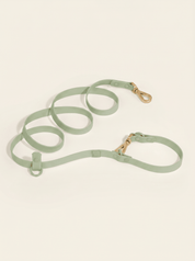 Wander! Bow Harness Kit - Matcha - FURRY MUSE WAN-HKIT-S-BK-6FT-GO