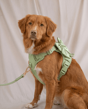 Wander! Bow Harness Kit - Matcha - FURRY MUSE WAN-HKIT-S-BK-6FT-GO