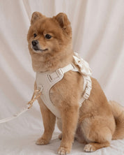 Wander! Bow Harness Kit Pearl - Gold - FURRY MUSE WAN-HKIT-XS-WH-6FT-GO
