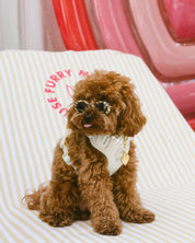 Wander! Bow Harness Kit Pearl - Gold - FURRY MUSE WAN-HKIT-XS-WH-6FT-GO