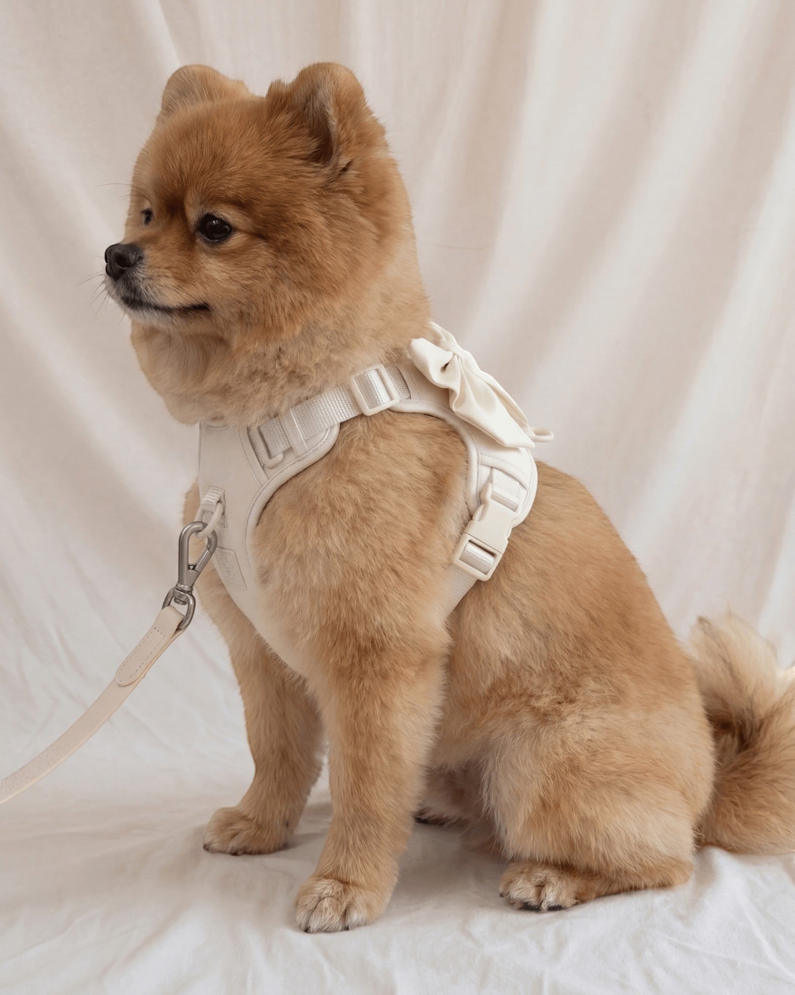 Wander! Bow Harness Kit Pearl - Silver - FURRY MUSE WAN-HKIT-XS-WH-6FT-SI