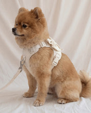 Wander! Bow Harness Kit Pearl - Silver - FURRY MUSE WAN-HKIT-XS-WH-6FT-SI
