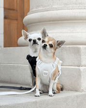 Wander! Bow Harness Kit Pearl - Silver - FURRY MUSE WAN-HKIT-XS-WH-6FT-SI